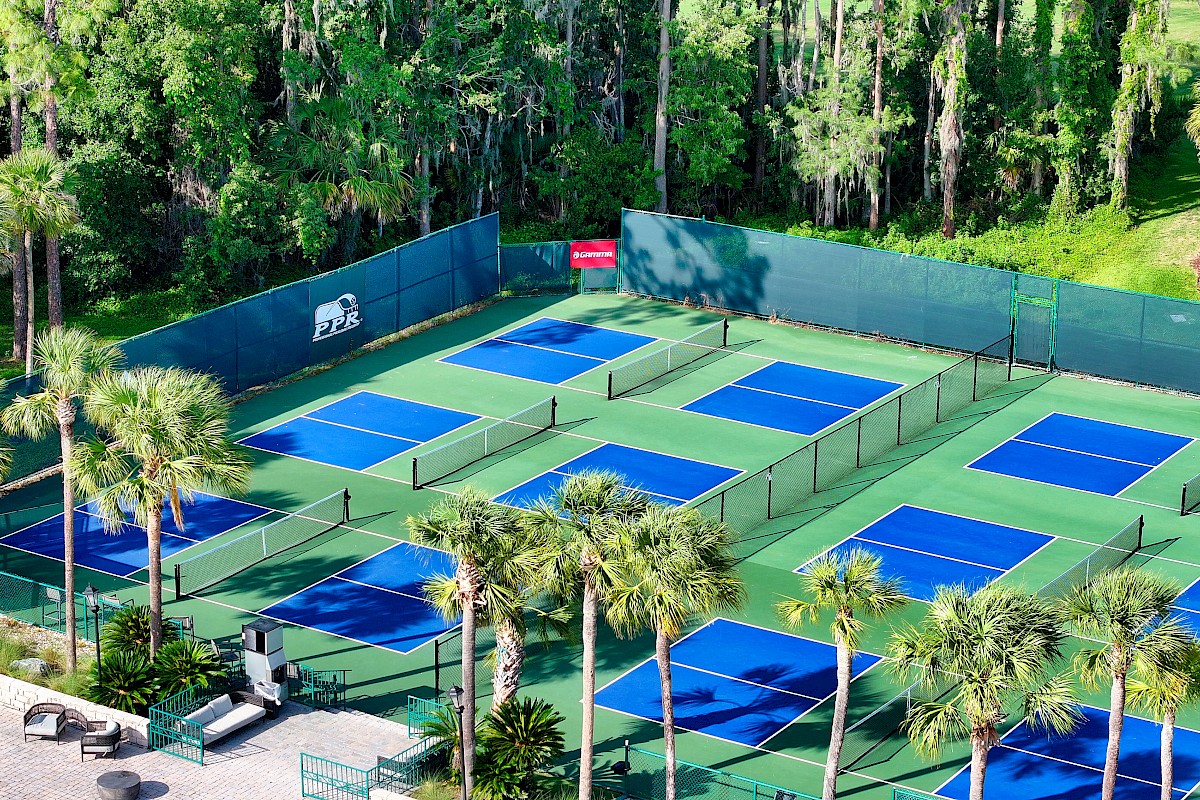 This image shows several blue pickleball courts surrounded by green fencing and trees, with palm trees lining the perimeter.