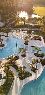 Aerial view of a resort pool area with lounge chairs, umbrellas, palm trees, and a scenic waterway nearby in warm sunlight.