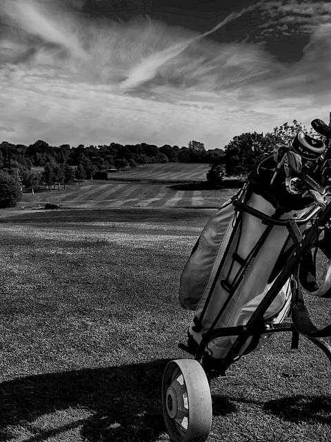 Black and white golf course and golf bag