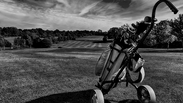 Black and white golf course and golf bag