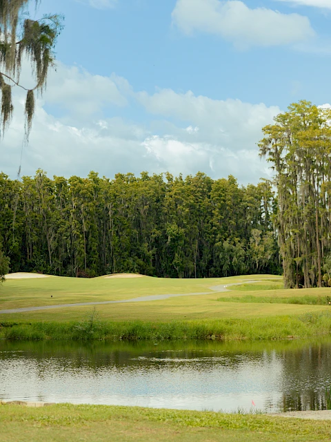 Saddlebrook Resort