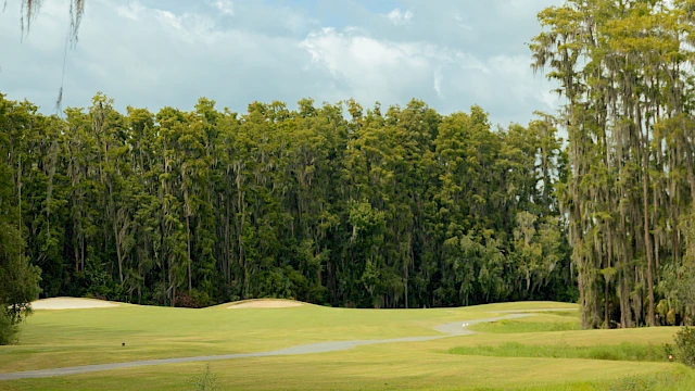 Saddlebrook Resort