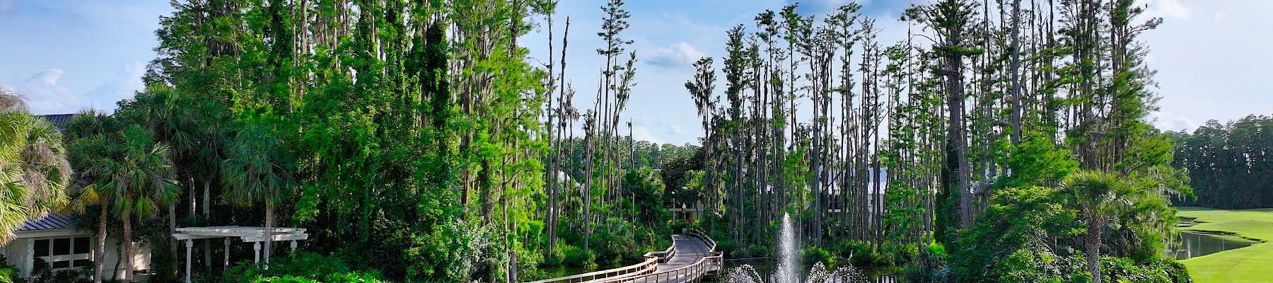 Saddlebrook Resort