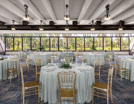 A decorated banquet hall with round tables, gold chairs, white tablecloths, and large windows revealing a lush, green outdoor view.