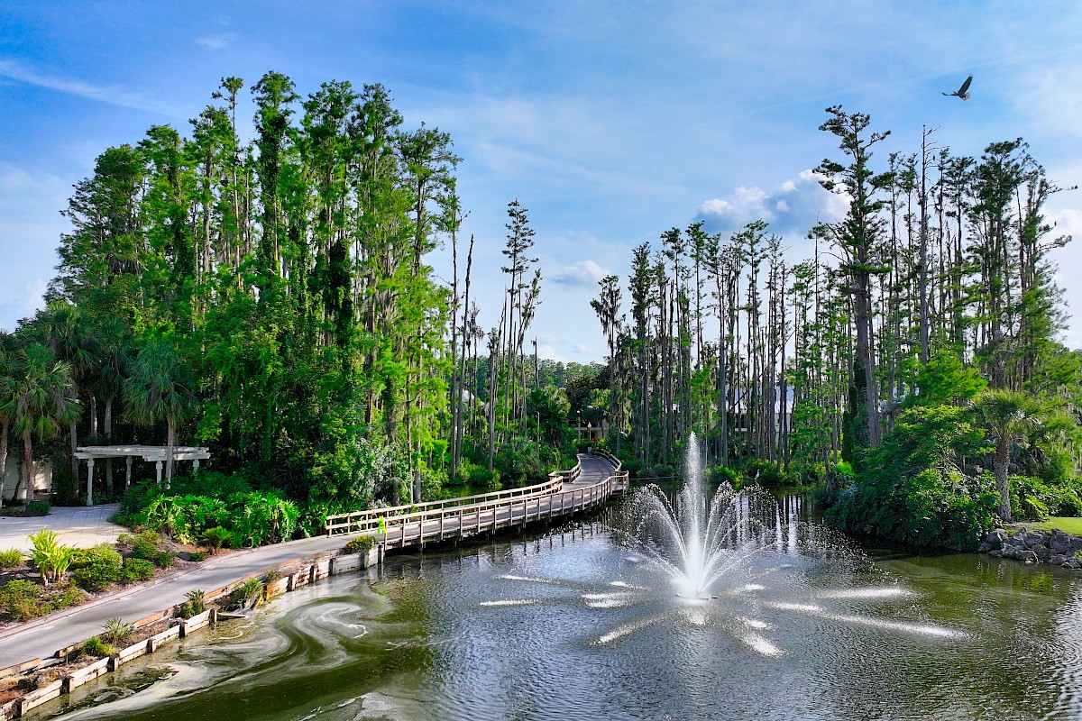 A serene scene featuring a fountain in a pond, surrounded by lush trees and a wooden bridge, with a bird flying above under a blue sky.