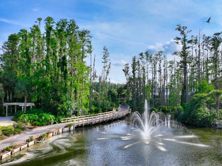 A scenic view of a pond with a fountain surrounded by trees, a bridge, and a flying bird in the sky under a sunny blue sky.