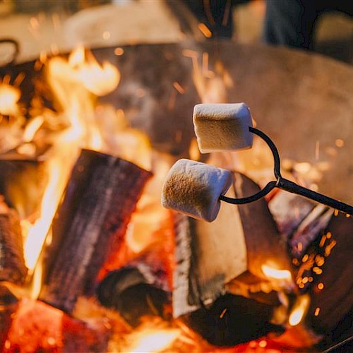 Roasting marshmallows over a bonfire