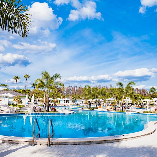 A bright resort pool scene with clear blue water, palm trees, lounge chairs, and people enjoying a sunny day. End.