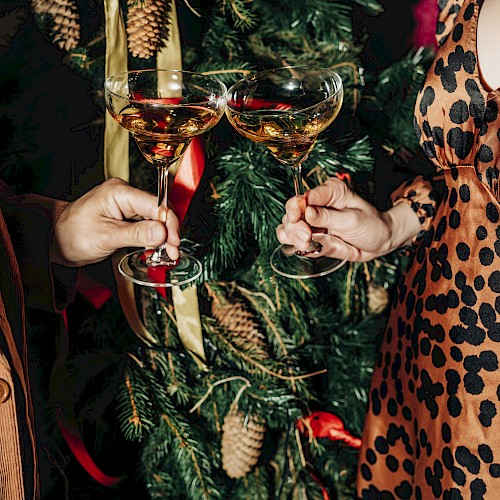 Two people clink champagne glasses in front of a decorated Christmas tree, one wearing a patterned dress.