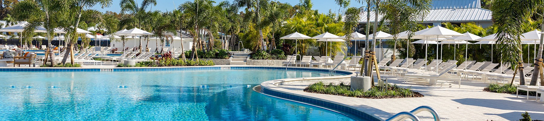 A bright hotel pool with clear blue water, lounge chairs, palm trees, shaded umbrellas, and a sunny tropical resort vibe.