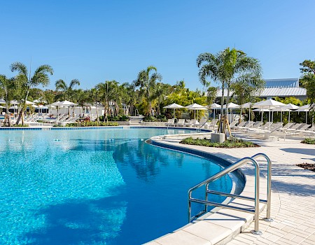 A bright hotel pool with clear blue water, lounge chairs, palm trees, shaded umbrellas, and a sunny tropical resort vibe.
