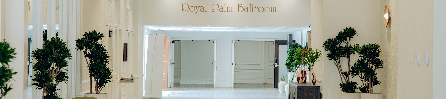 A bright hotel lobby with white walls, hanging chandeliers, potted plants, and a welcoming reception area ahead.