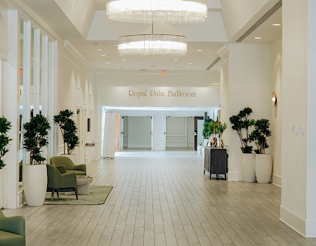 A bright hotel lobby with white walls, hanging chandeliers, potted plants, and a welcoming reception area ahead.