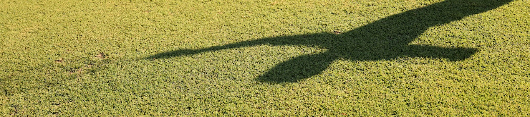 Shadow of a person or figure on a grassy field, long stretch of shade near the edge of a line, bright sunlight illuminating the grass.