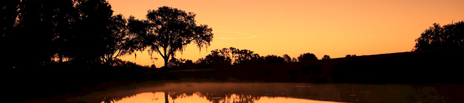A tranquil sunset over a still lake, silhouettes of trees mirrored in the water, casting a warm orange glow across the horizon.