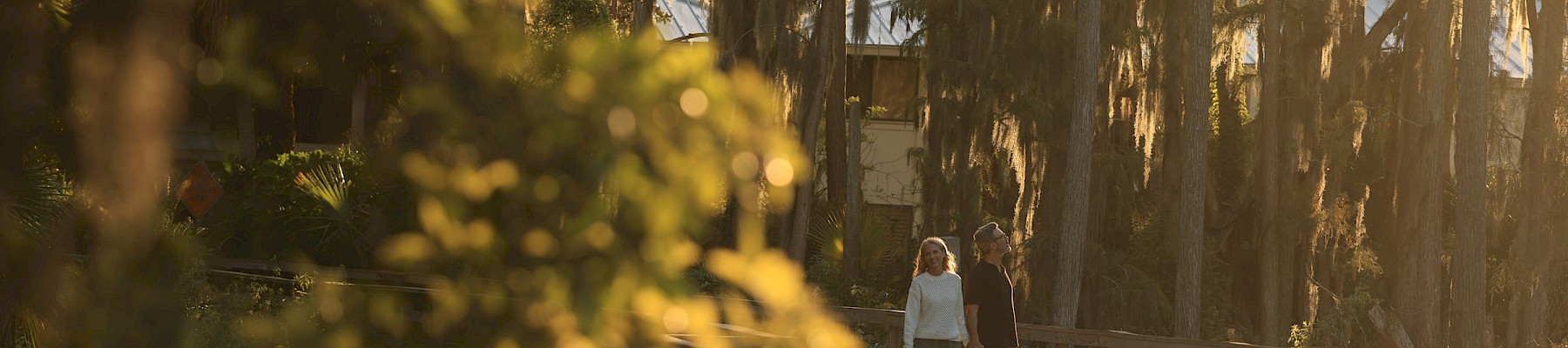 A sunlit seaside boardwalk shaded by tall trees, with a couple walking in the distance along the railing.