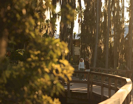 A sunlit seaside boardwalk shaded by tall trees, with a couple walking in the distance along the railing.