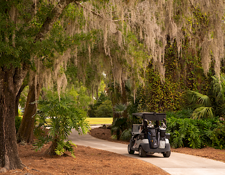 A paved path winds through a shady yard with Spanish moss-draped trees, bushes, and a parked golf cart nearby.