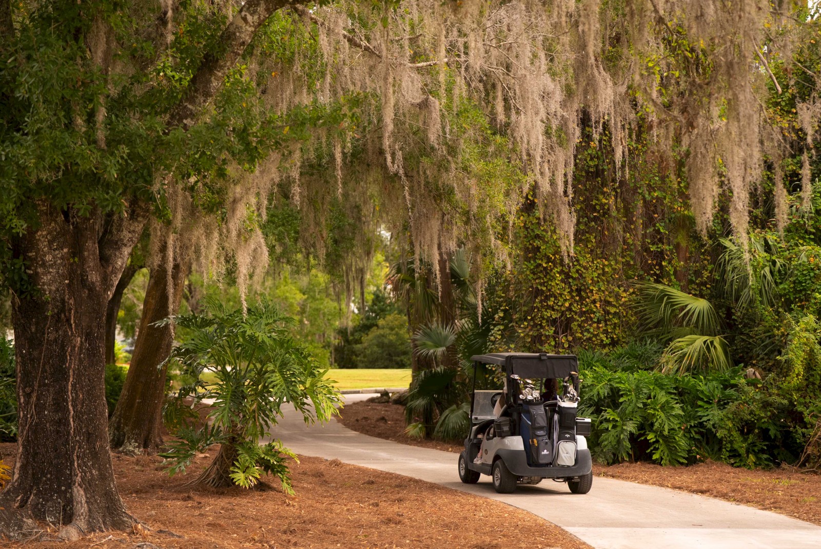 A golf cart on a winding path surrounded by lush trees and greenery in a tranquil outdoor setting.