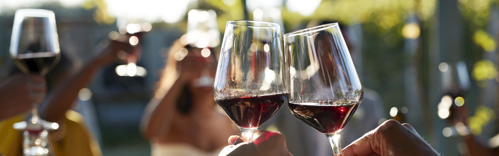 People are raising glasses in a toast at an outdoor gathering, with a table set with food and drinks.