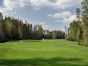 A serene golf course with a vibrant green, flagstick in the hole, surrounded