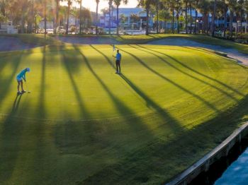 Two people are playing golf, surrounded by palm trees with shadows stretching across the green