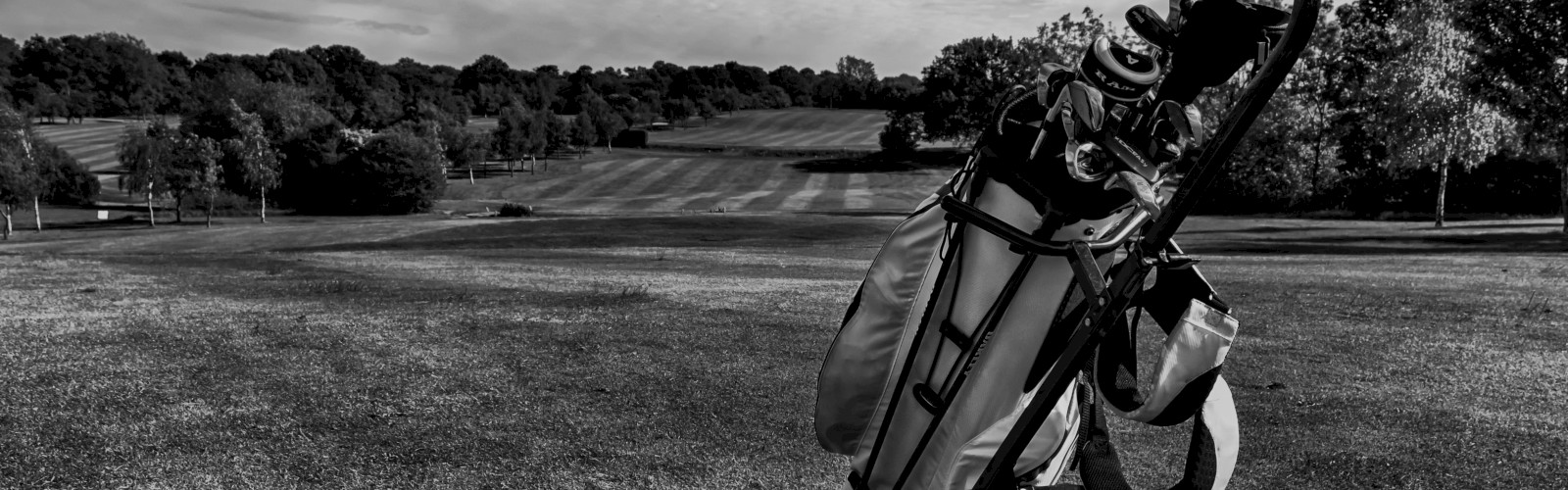 Saddlebrook Resort