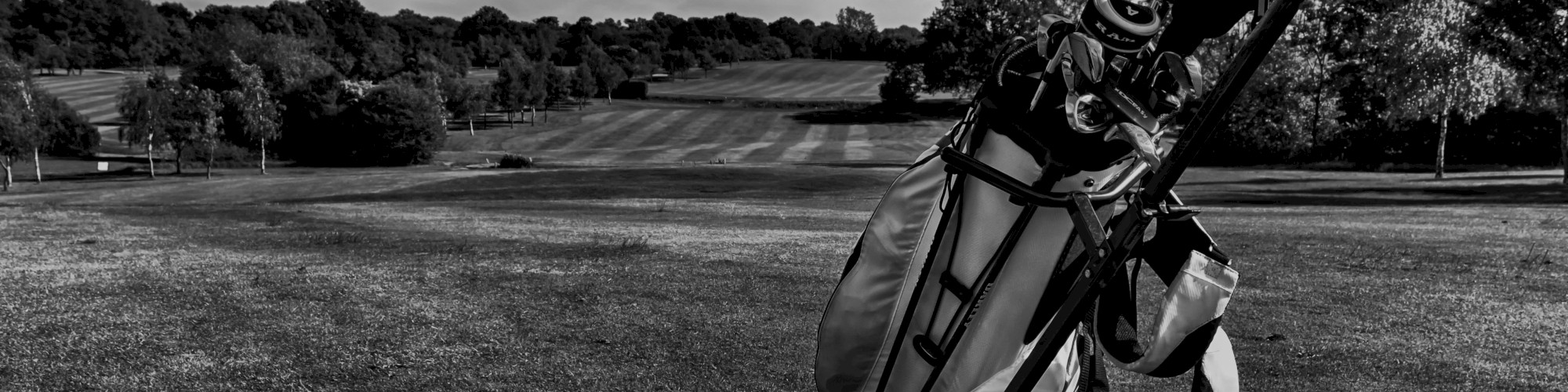 Saddlebrook Resort