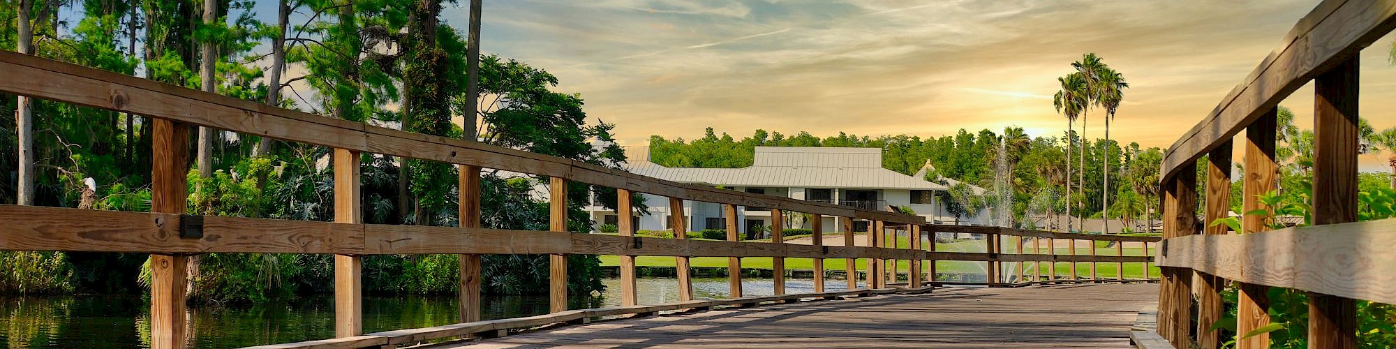 A wooden walkway leads through a tranquil park, flanked by tall trees, with a serene sky and distant buildings in the background.