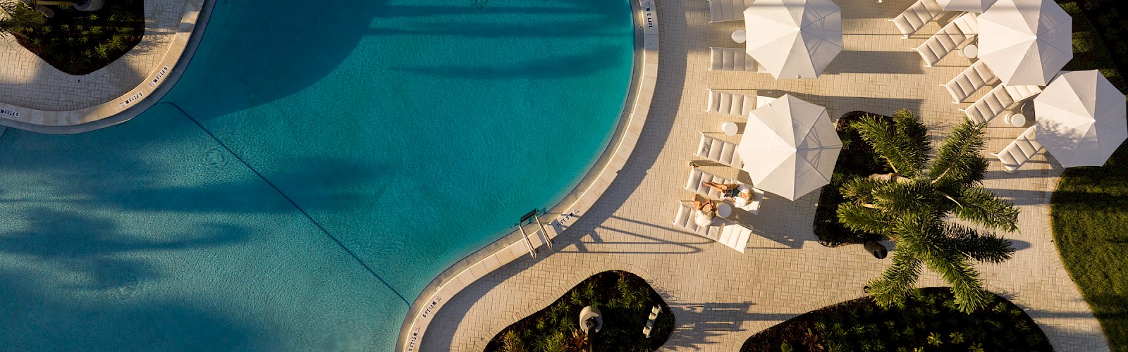 Aerial view of a curvy hotel pool, blue water, white sun loungers and umbrellas along the deck, palm trees and green lawn nearby, sunny day.