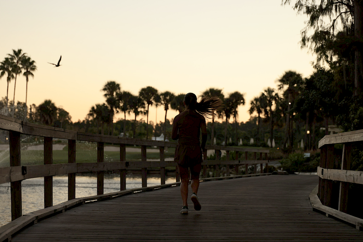 A person walks down a wooden pier at sunset, with palm trees, a bird in the sky, and calm water nearby.