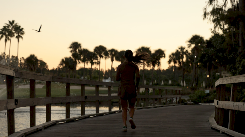 A person walks down a wooden pier at sunset, with palm trees, a bird in the sky, and calm water nearby.