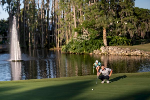 Saddlebrook