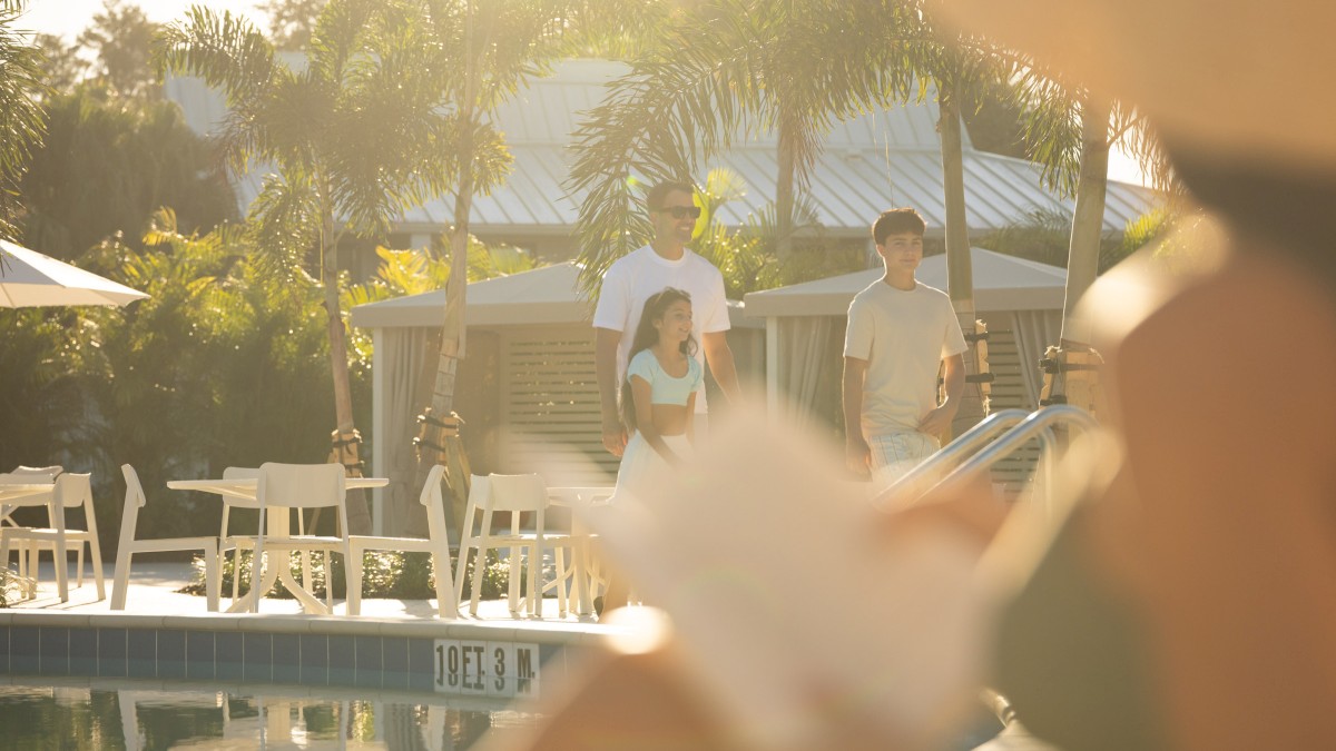 People enjoy a sunny day by a pool, with palm trees, chairs, and a relaxed atmosphere in the background.