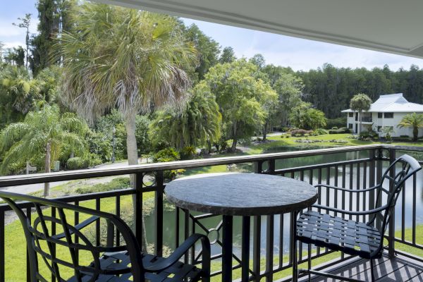 Saddlebrook