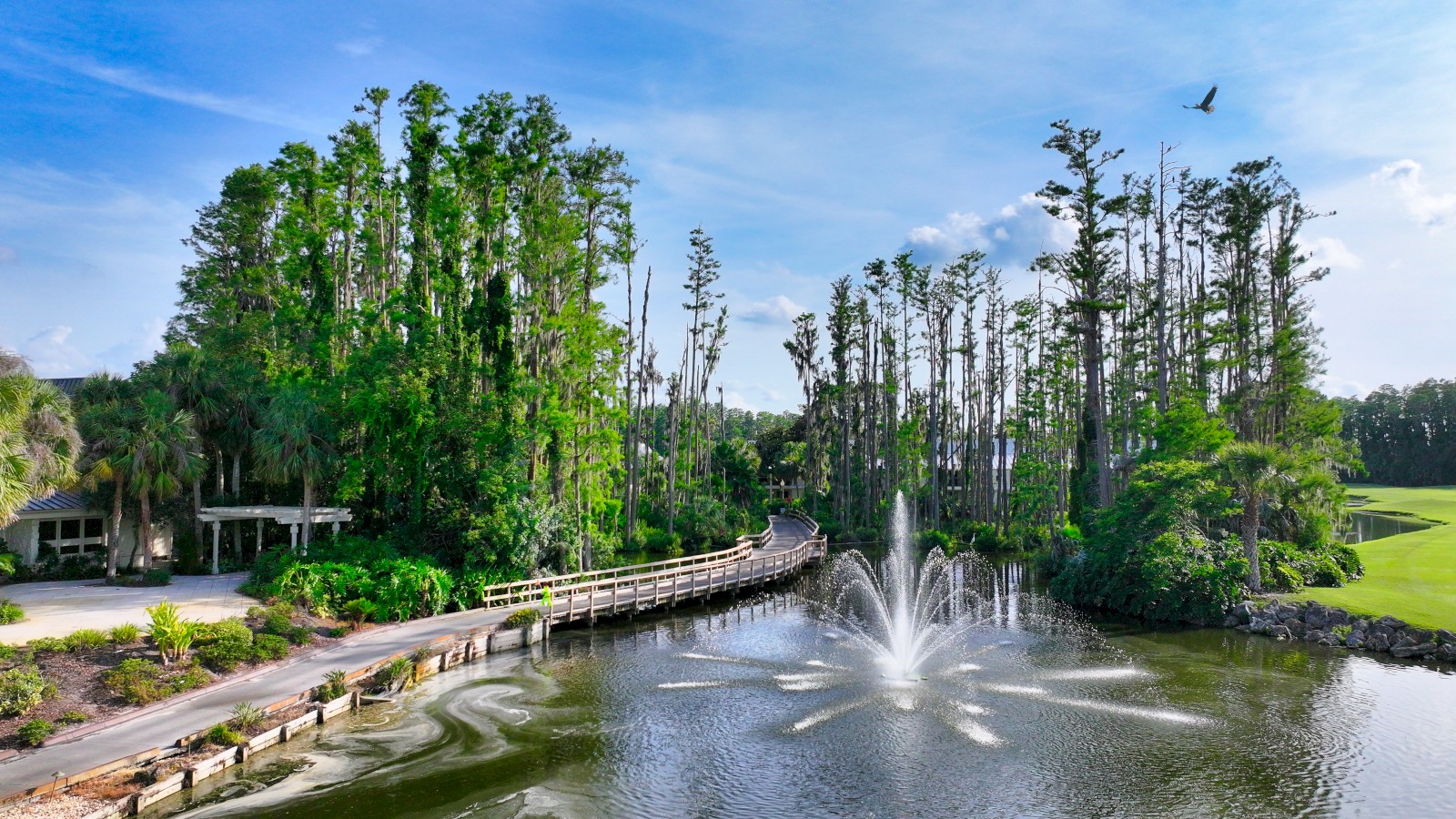 Saddlebrook Resort