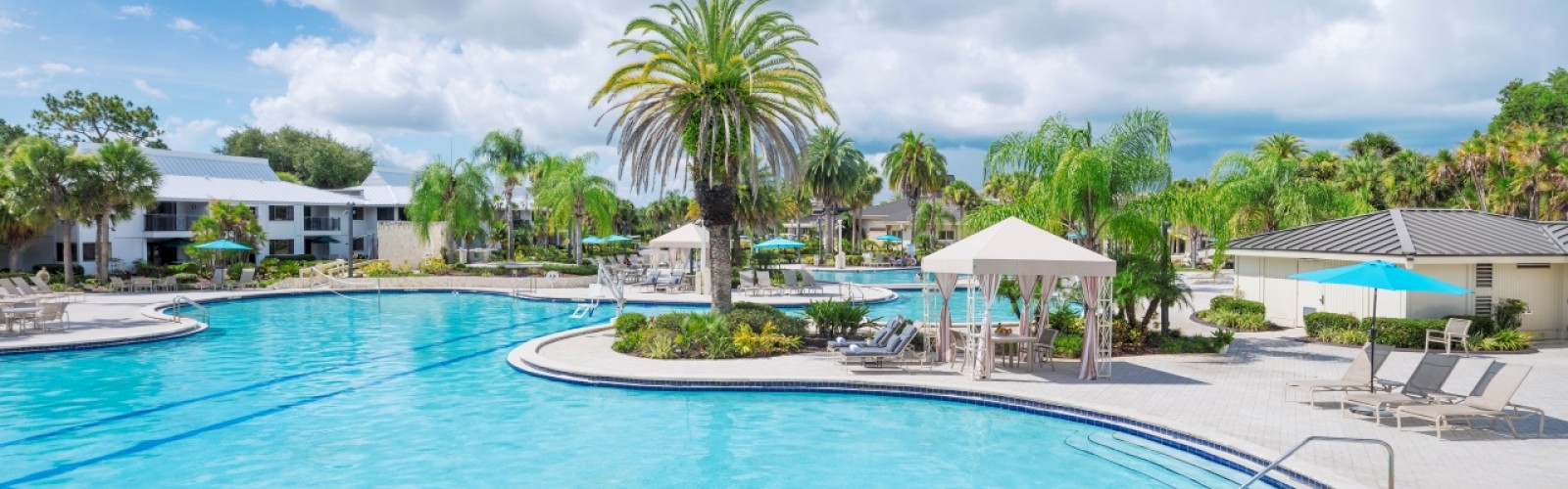 Sunny pool area with palm trees, loungers, umbrellas, clear skies, and buildings.