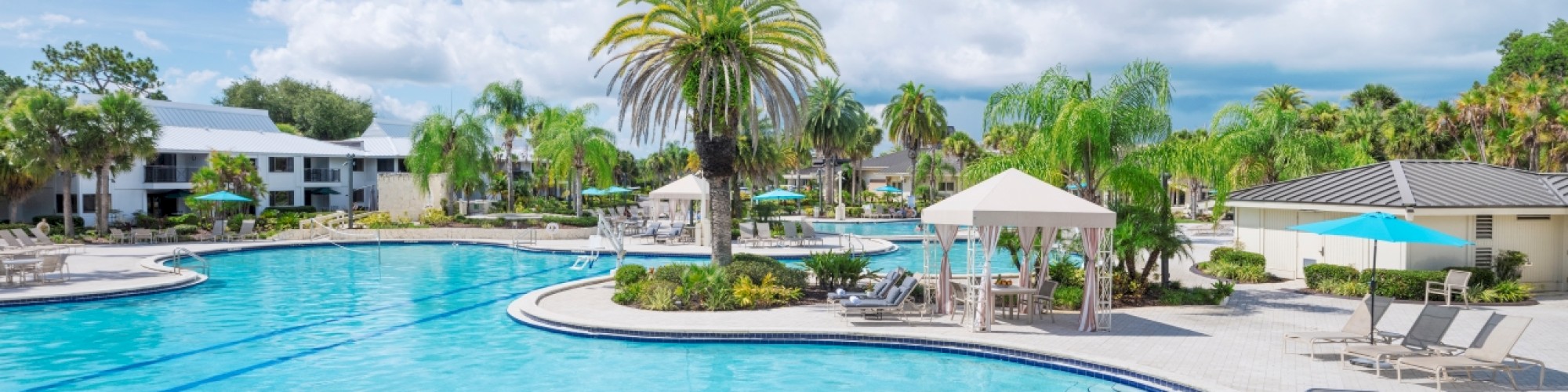 Sunny pool area with palm trees, loungers, umbrellas, clear skies, and buildings.