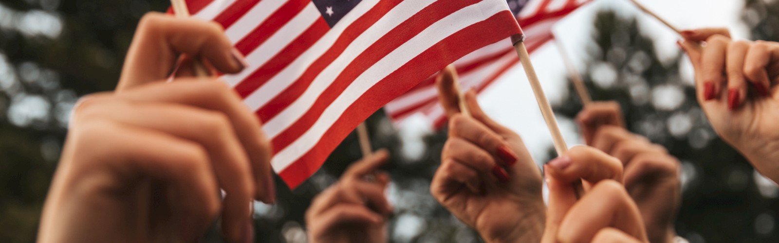 Several hands are holding small American flags against a blurred background with trees and sky.
