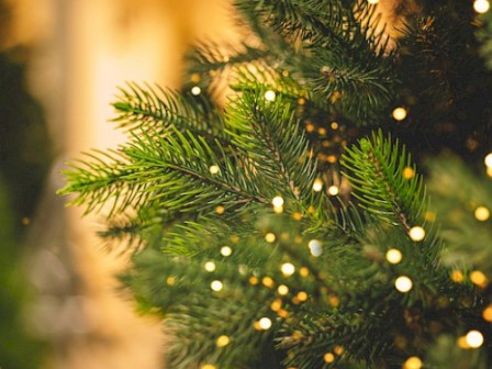 lit Christmas tree branches