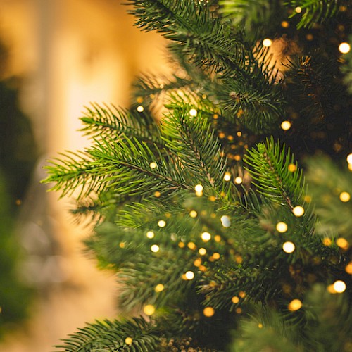 A close-up of a Christmas tree with green branches and warm white lights in a soft-focus, festive atmosphere.