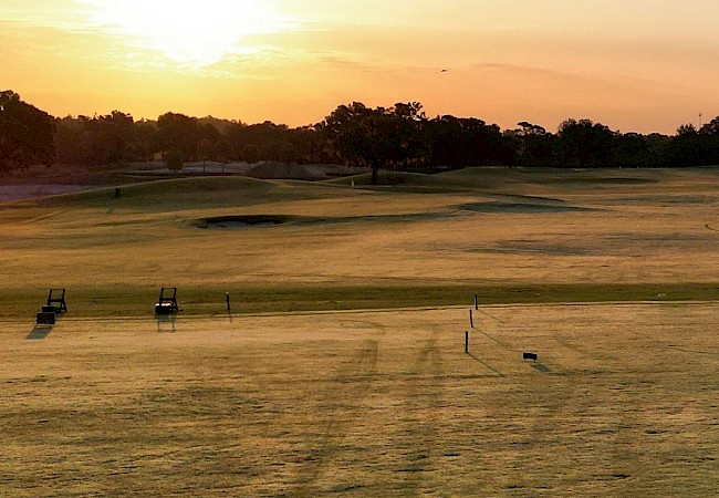 A golf course at sunrise with an open fairway, trees around, and a bright sun on the horizon, casting long shadows across the grass.