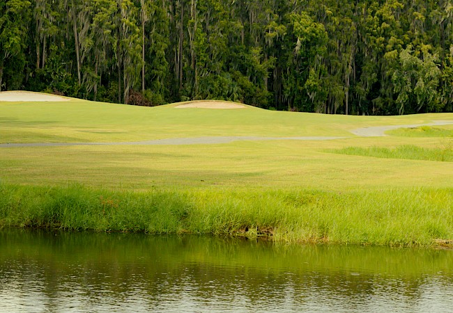 Saddlebrook Resort