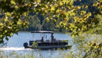 A boat is cruising on a lake, framed by green foliage in the foreground. The background features forested hills under clear skies.