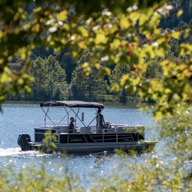 A boat with a canopy is cruising on a lake, surrounded by lush greenery. The scene is framed by tree branches in the foreground.