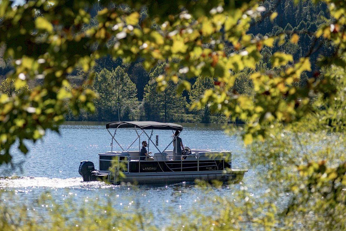 A boat with a canopy is cruising on a lake, surrounded by trees and greenery, creating a serene and picturesque scene.