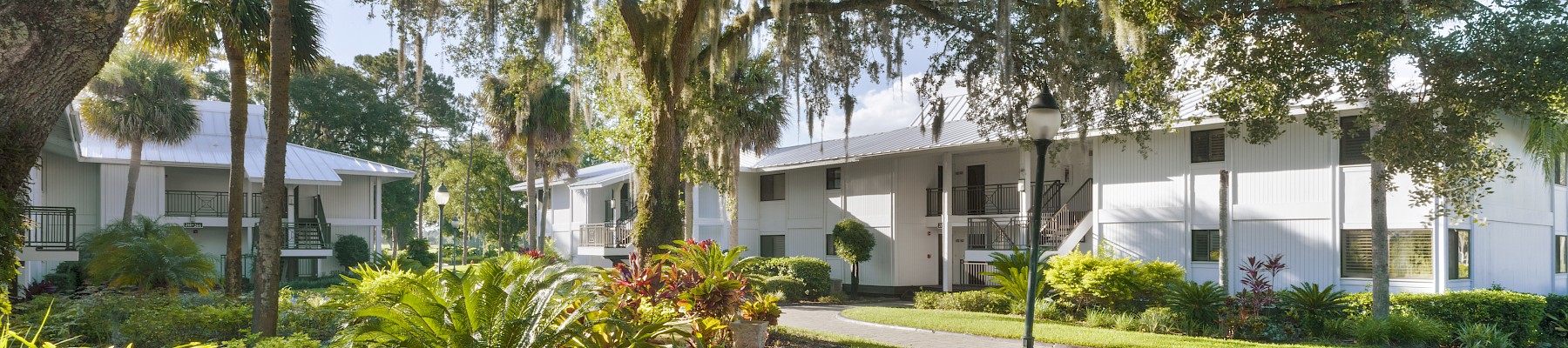 The image shows a peaceful residential area with white houses, lush green landscaping, and a large tree with hanging moss.