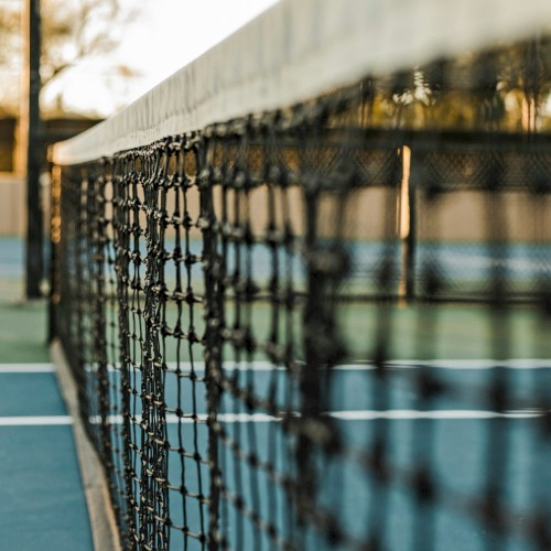 Tennis net and court